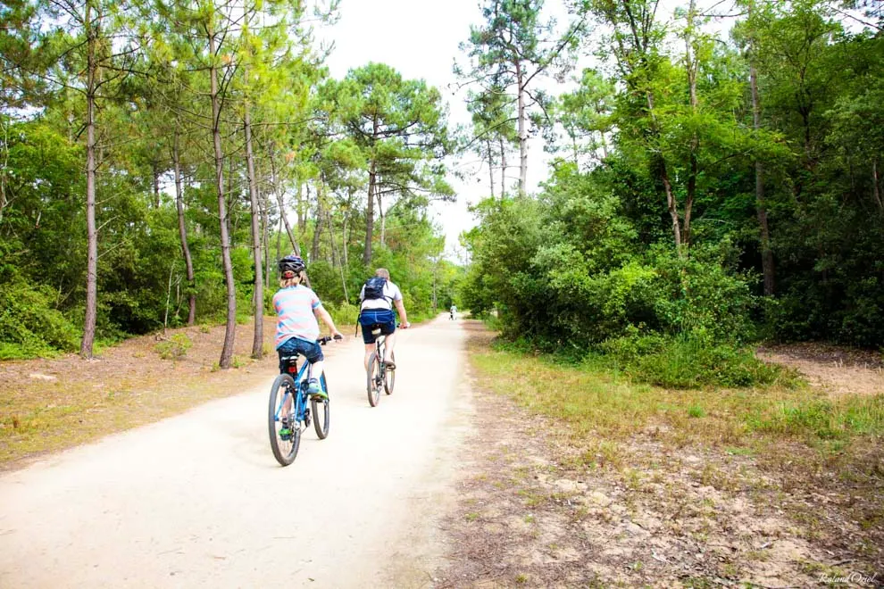 Balade à vélo sur la piste cyclable